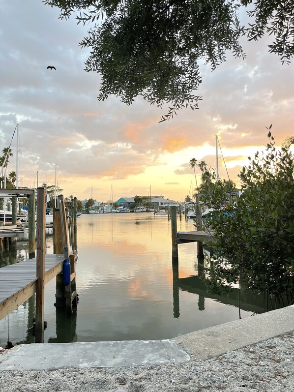 Sunsets, Manatees and Dolphins