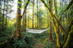 Enjoy the views and sounds of the forest while relaxing in the hammock located at the end of one of the private hiking trails.