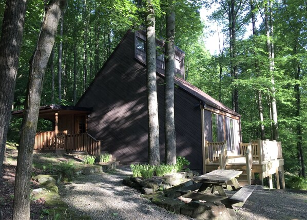 Exterior of the A-frame cabin.