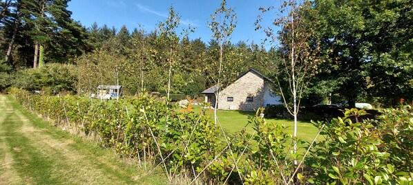 Spacious Sunny Side Garden surrounded by Forest.
