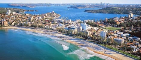 Aerial View of Manly and the Manly Surf Beach and the Sydney Harbour.