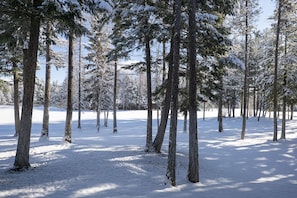 Deportes de invierno y ski