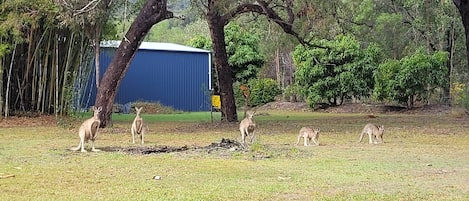 Terrenos do alojamento