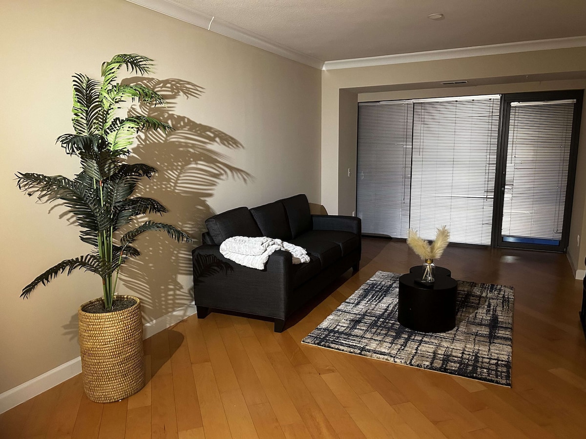 Luxury One Bedroom in the Heart of Dc