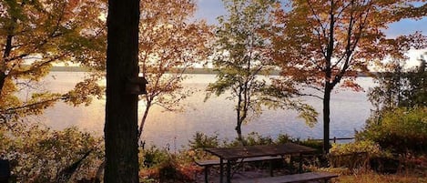 Lake Views in the Fall