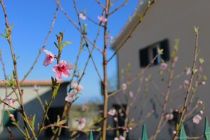 Außendetails