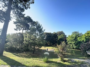 Boendeområde