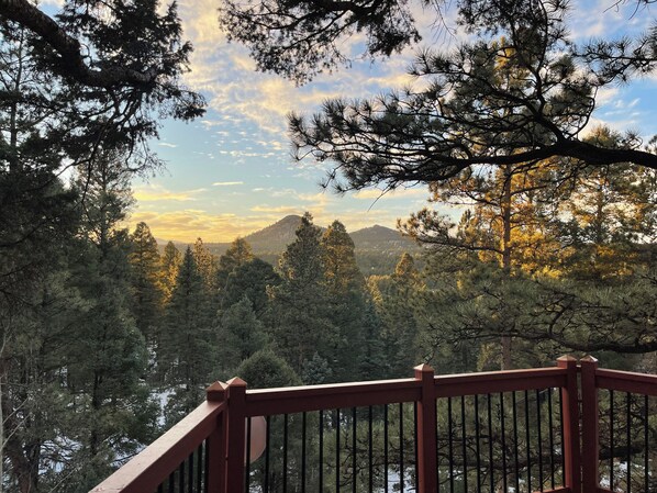 SunsetGroveView
