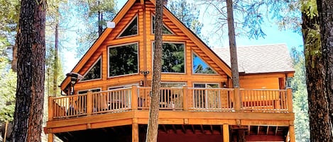 Secluded forest getaway directly connected to Prescott National Forest!