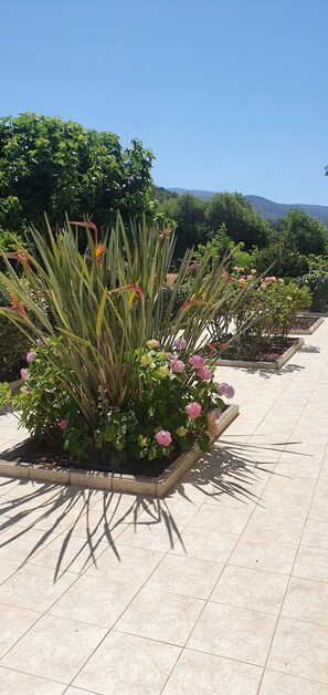 Jardines del alojamiento