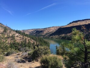 View Looking Towards Metolius River