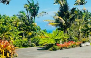 🌴Secluded, elegant driveway: Your private escape🛤️