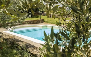 Building Exterior, Pool