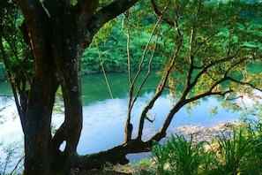 Rope swing