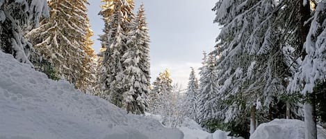 Overnatningsstedets område