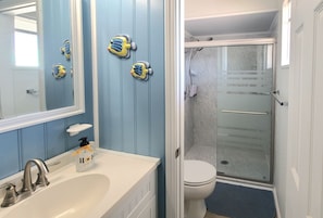 Upgraded walk-in shower with rain shower head and removable shower wand.