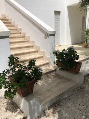 Exterior detail