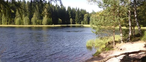 Vogtlandsee 15 min zu Fuß