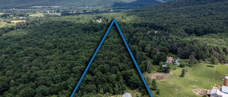 Cabin in Luray on 5 acres of woods.  