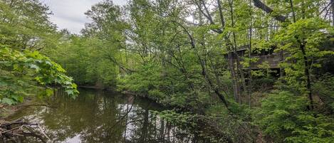 Overnatningsstedets område