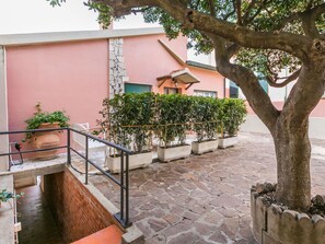 Plante, Propriété, Bâtiment, Surface De La Route, Architecture, Arbre, Bois, Quartier, Design Urbain, Mur