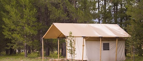 Safari Tent 001