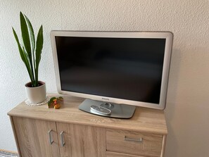 Television