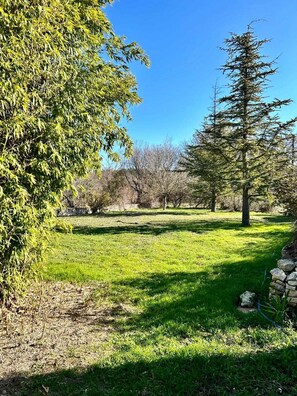 Jardin prairie donnant sur un champ d'oliviers