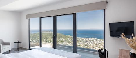 Amazing Bedroom View 