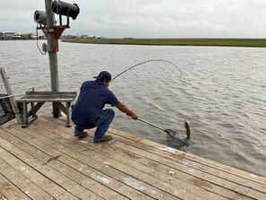 Hauling in the BIG one - 9/15/24