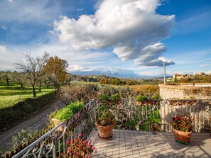 Cloud, Plant, Sky, Flower, Flowerpot, Natural Landscape, Houseplant, Land Lot, Vegetation, Tree