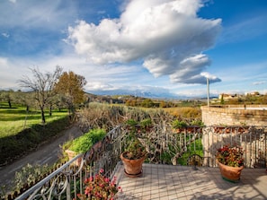 Nuage, Plante, Ciel, Fleur, Pot De Fleur, Paysage Naturel, Plante D'Appartement, Lot Terre, Végétation, Arbre