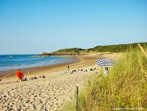 Water, Sky, Plant, Natural Environment, Beach, Coastal And Oceanic Landforms, Horizon, Landscape, Natural Landscape