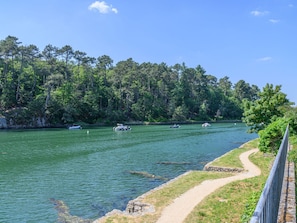 Water, Cloud, Sky, Boat, Natural Landscape, Plant, Tree, Land Lot, Coastal And Oceanic Landforms, Watercourse