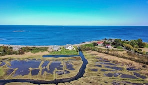Open ocean & massive marshes, home to fish, amphibians, waterfowl, foxes, deers