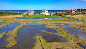 Aerial view - colorful marshland vegetations stretching through ponds and creeks