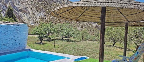 Piscina y zona de tumbonas con vistas al jardín.