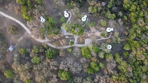 5 Yurts on 20 acres!