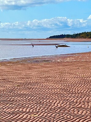 Miles of beach to walk
