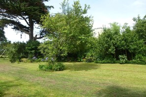 Garden [summer]