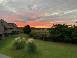 Marsh View from Sun Deck