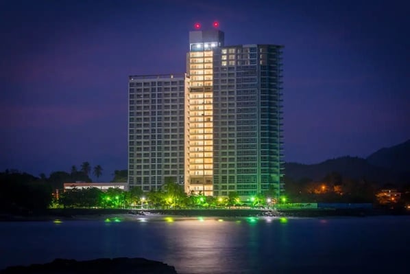 Beautiful Royal Palm