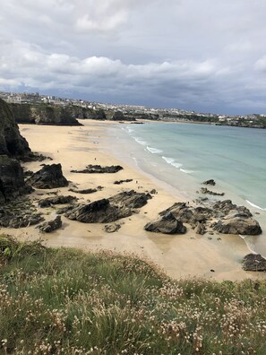 Walk left to the harbour during low tide