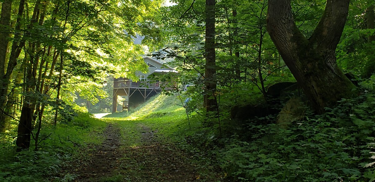 Main Image