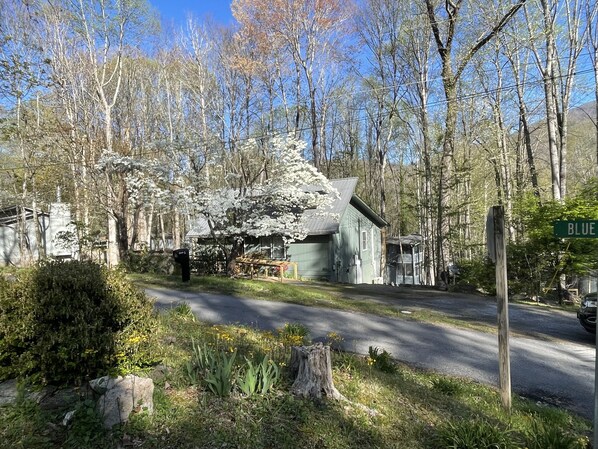 Solar home in pretty neighborhood.
