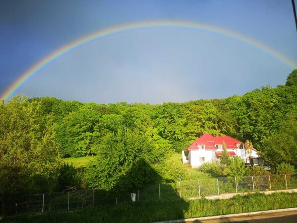 Ansicht von oben