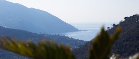 View - Villa Le Macine - Affitti Brevi Italia 
