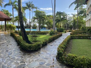 pool and garden view