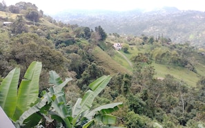 Vista desde la propiedad