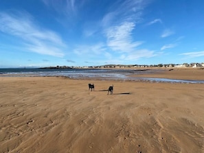 The beach at Elie is a short drive down tot he sea.